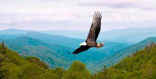 Made in America from American hardwoods